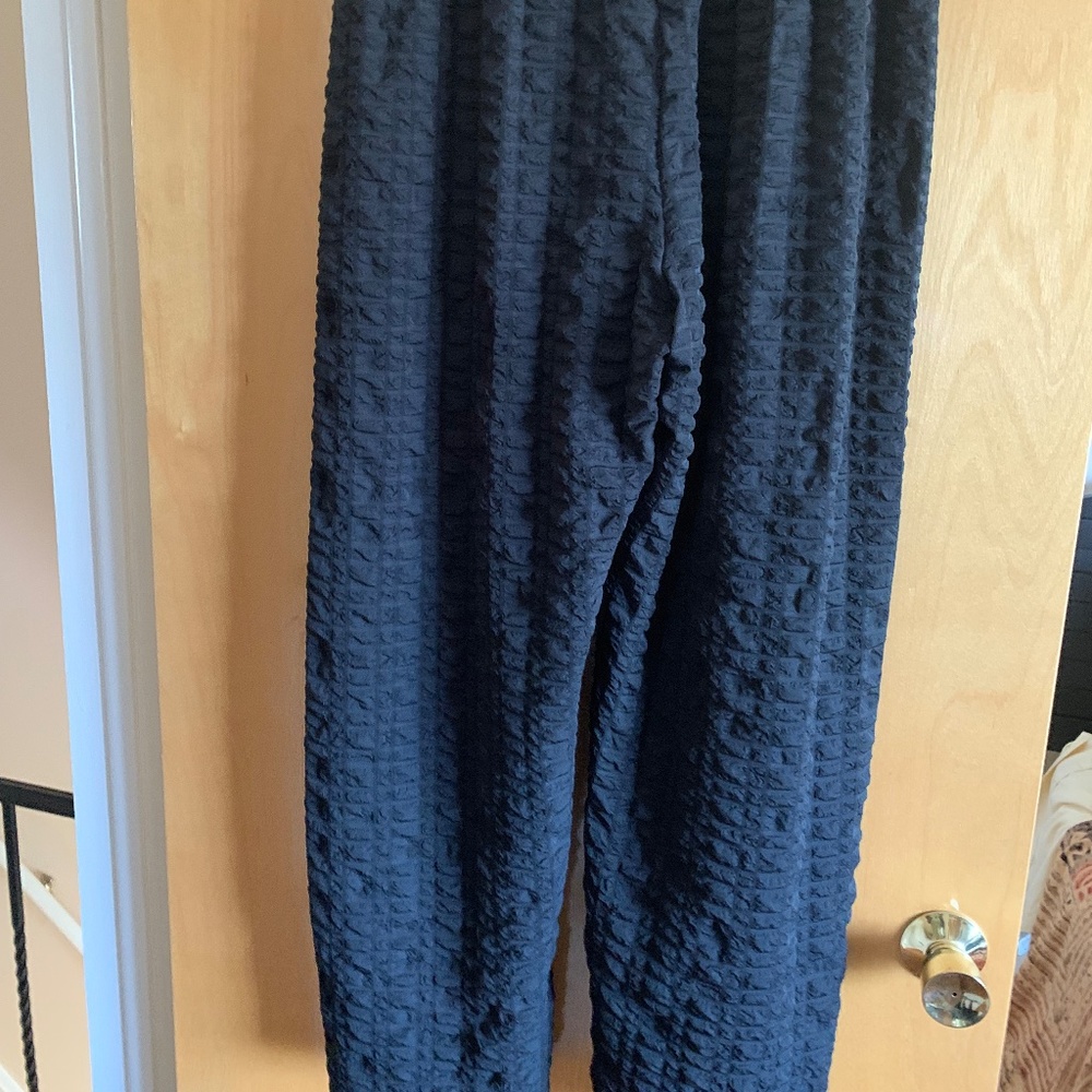 Crinkle nylon pants